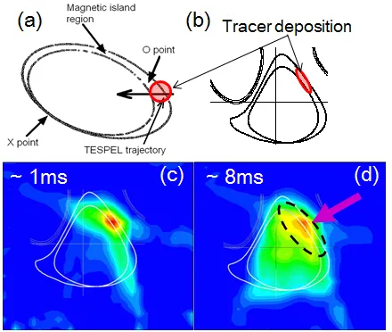 Fig. 17(a) Tracer deposition inside the magnetic island can beachieved with a TESPEL method