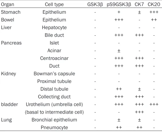 Table 2. Expression of GSK3β, pS9GSK3β, CK7 and CK20 in normal human fetal tissues 