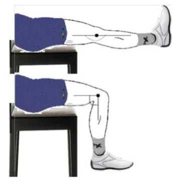 Fig. 6: Application based on knee free swinging  trajectory.  