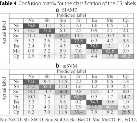 Table 4 Confusion matrix for the classification of the CS labels