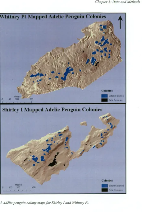 Fig. 3.2 Adelie penguin colony maps for Shirley land Whitney Pt. 