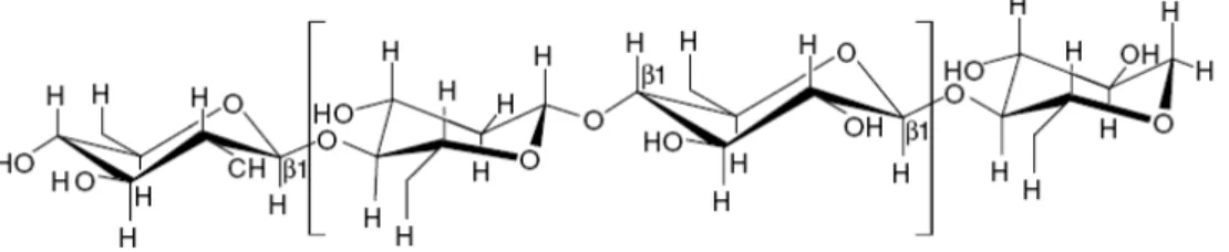 Figure 2.4: Chemical structure of cellulose (Bismarck et al., 2005) 