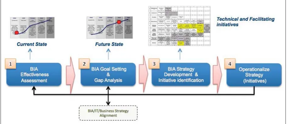 Figure 2. BIA strategy development process
