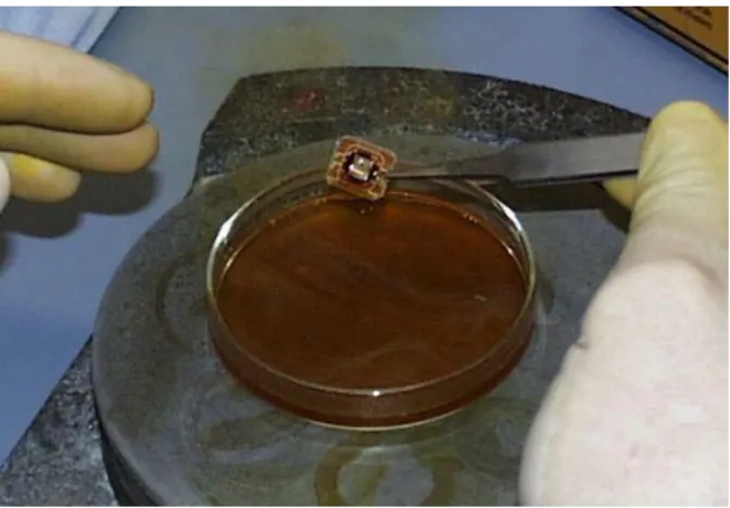Figure 1: Hot fuming nitric acid (> 98% HNO 3 ) dissolves the package without affecting the chip.