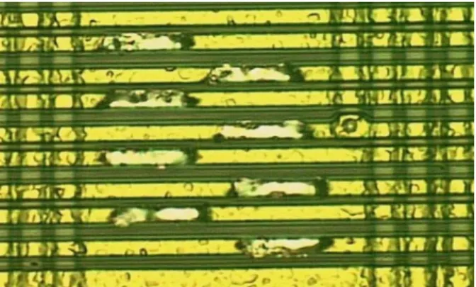 Figure 7: This image shows 9 horizontal bus lines on a depackaged smartcard processor