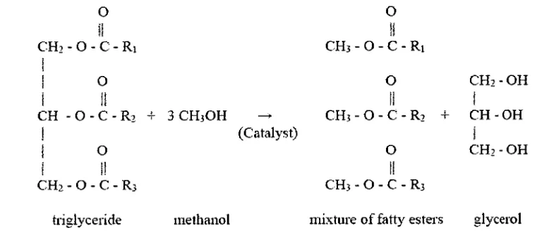 Figure 2.6: Transesterification Reaction [28] 
