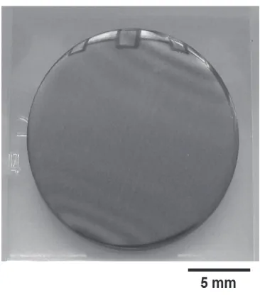Fig. 1Typical photograph of Er2O3 coating on SUS 316 sub-strate via MOCVD process.