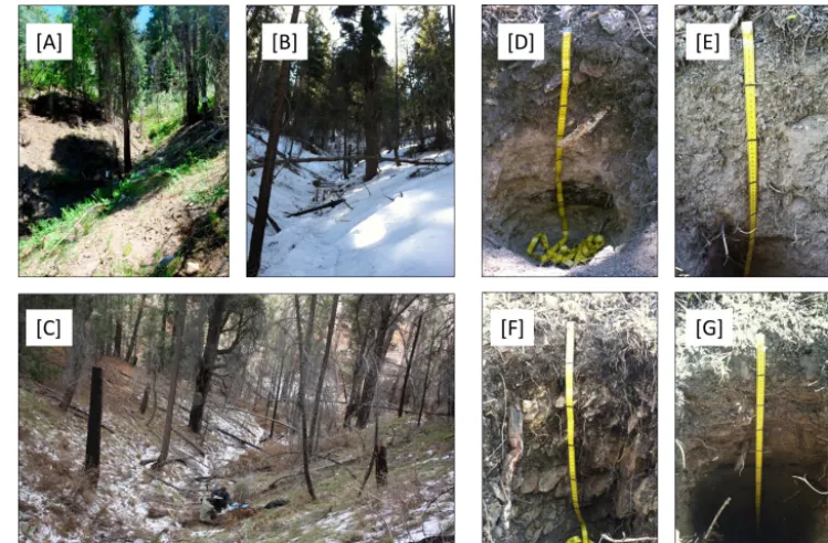 Figure 3. Modeled spatial distribution of parent materials in the study catchment and examples of typical rocks sampled from the soil profiles sampled on each parent material