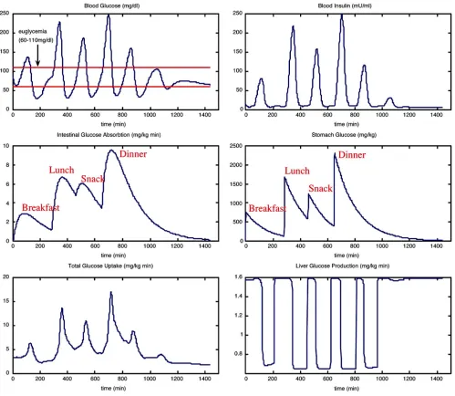 Fig. 11. Sample glucose metabolism data output from the GlucoSim simulator.