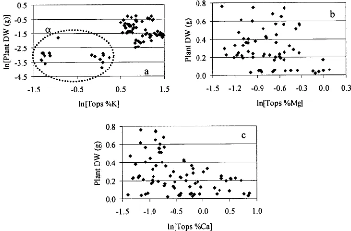 Figure 2.10. Relationships between Eucalyptus globulus plant dry weight and shoot nutrient concentrations: (a) potassium; (b) magnesium; and (c) calcium