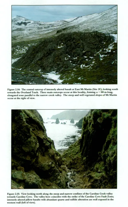 Figure 2.14: The central outcrop of intensely altered basalt at East Mt Martin (Site 2C), looking south 