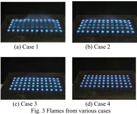 Fig. 3 Flames from various cases 
