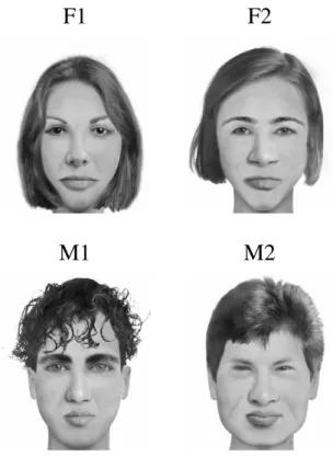 Figure 6. Faces used in Experiment 1.