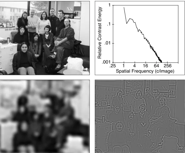 Figure 2. Decomposition of a naturalistic scene (top left) into low spatial-frequency components (bottom left) and high spatial-frequency components (bottom right)