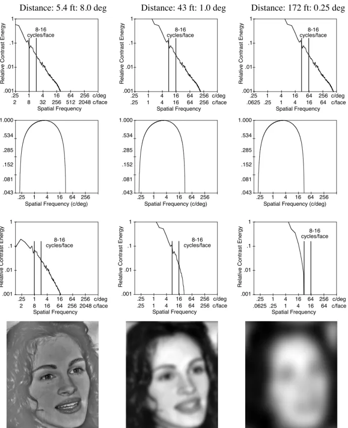 Figure 5. Demonstration of band-pass filtering and its relation to distance. This figure is organized like Figure 4 ex- ex-cept that the visual system’s MTF assumed is, as depicted in the second-row panels, band-pass rather than low-pass.