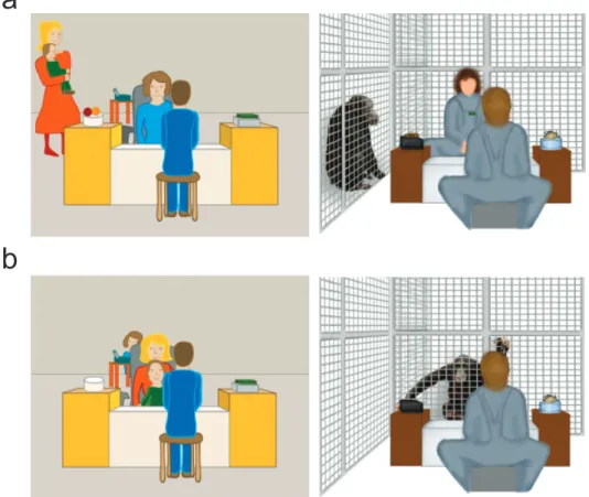 Fig. 1. Illustration of the experimental setup for infants (left) and chimpanzees (right), viewed from behind the giver