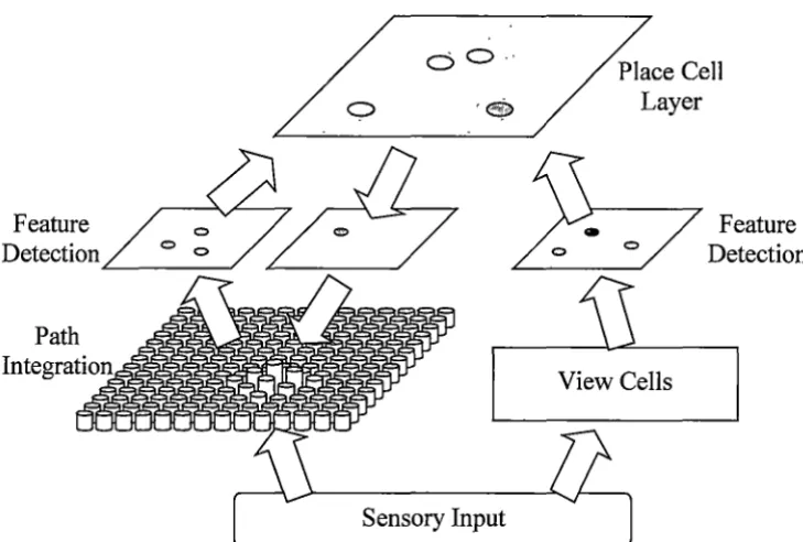 Figure 3.2: Simplified overview of the computational model of Guazelli, Bota and 