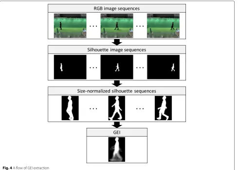 Fig. 5 Examples of GEI