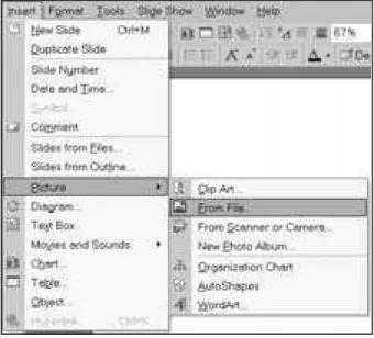 Figure 2.2. Choosing In sert Pic ture From File from the Menu