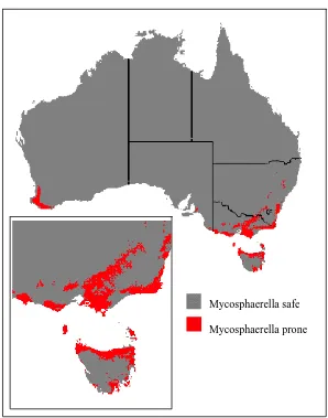 Figure 1.2.  The predicted distribution of Mycosphaerella leaf disease in Australia 