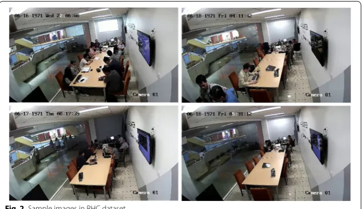 Fig. 2 Sample images in RHC dataset