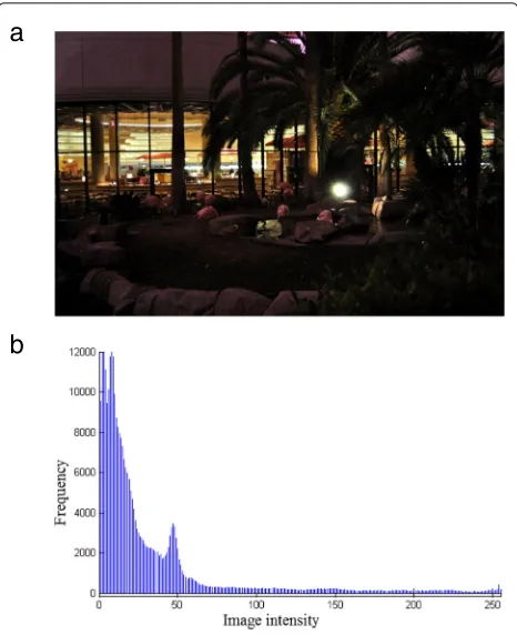 Fig. 1 a Dark image. b Histogram of dark image
