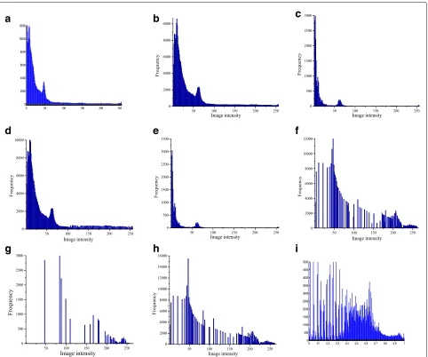 Fig. 2 The different steps of the proposed method.Transformation on the histogram in (histogram in ( a Input image histogram