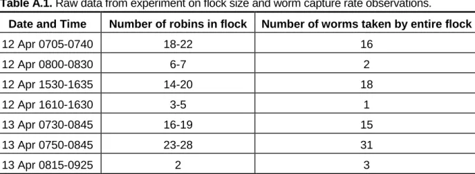 Table A.1. Raw data from experiment on flock size and worm capture rate observations. 