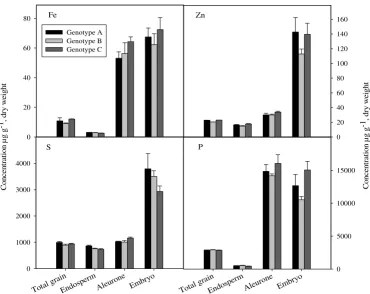 Figure 3Tissue concentrations of Zn, Fe, P and S in grain tissues of rice genotype A, B and C, Four rice grains per batch were separated were separated into an outer aleurone layer (incl