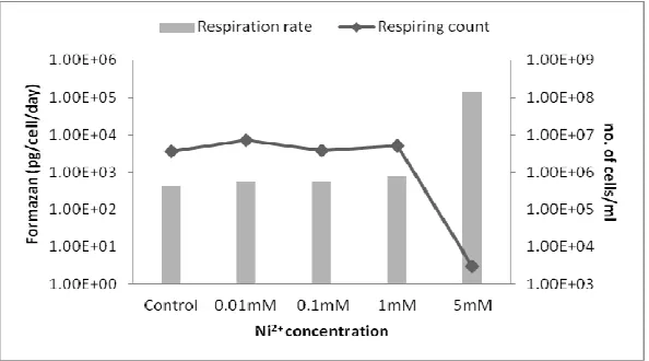 Fig 4. Growth of isolate RS-3 on 25% Nutrient broth with 20% crude salt and 0.01mM Mn2+ (-■-), 0.1mM Mn2+ (-▲-), 1mM Mn2+ (-x-), 5mM Mn2+ (-�-) amendments along with unamended control (-♦-)