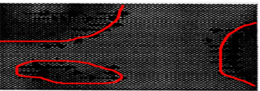 Figure 2 -1: The view-field of bees 