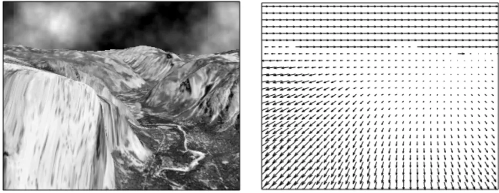 Fig. 1. One frame of the Yosemite sequence and the corresponding true velocity field (subsampled).