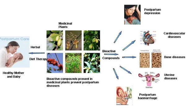 Fig 1. Graphical representation of therapeutic potential of postpartum medicinal plants  