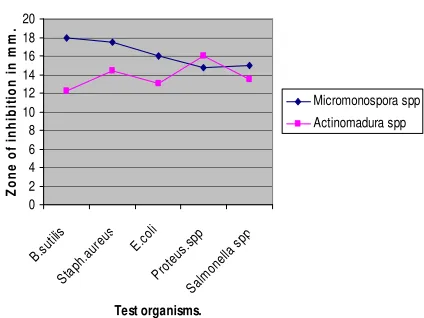 Fig 1. Screening of actinomycetes for antimicrobial activity 
