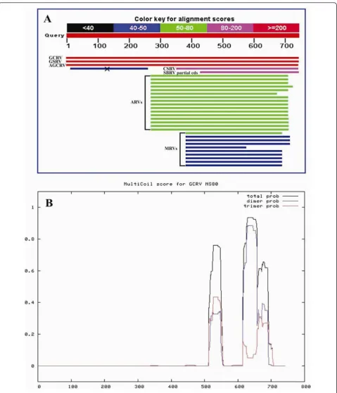 Figure 3 Alignment of GCRV NS80 with its homologous proteins. (A) Blastp analysis of GCRV NS80