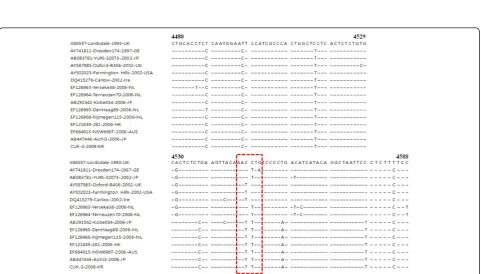 Figure 1 Phylogenetic trees of the nucleotide sequences of the complete regions of NoV GII/4