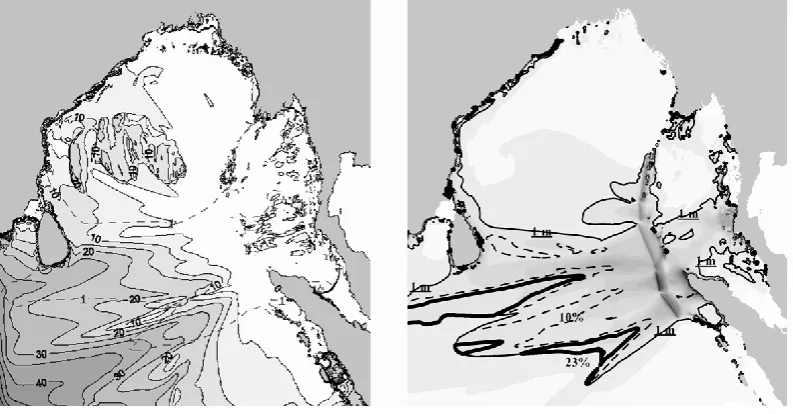 Fig. 5. Simulated sea surface elevation at Cocos Island for South Sumatra (12 September 2007) tsunami
