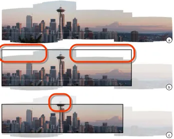 Figure 2: Common mishap when taking panoramas: (a) The user is trying to cover the Seattle Space   Needle, but does not cover enough of the sky around it