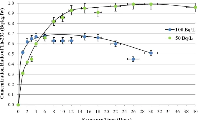 Figure 3: Whole-body uptake kinetic of Th-232 in  Anabas testudineus from different waterborne exposure concentration  