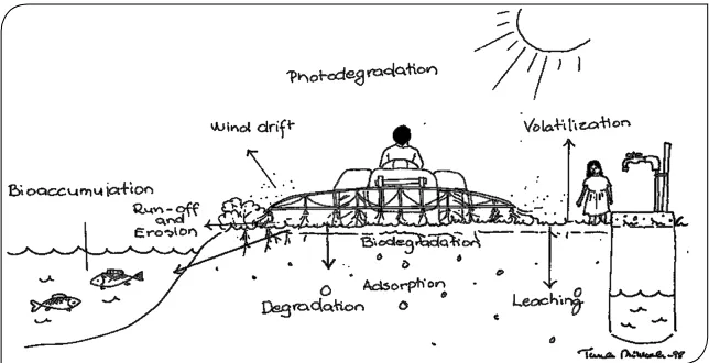 Figure 1.1. Environmental fate of pesticides. (Drawing of Tiina Mikkola 1998).
