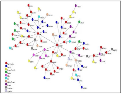 Fig. 1 Forest of Bursa Malaysia analysis 