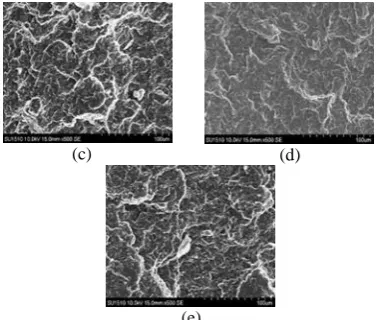 Fig. 2  Scanning electron microscope images of (a) PP (b) PP/UK (c) PP/TK (1 phr) (d) PP/TK (3 phr) (e) PP/TK (5 phr) at  500 magnification