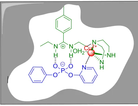 Figure 1.4 Representation of reactive site in MIP matrix. The FM, template, and the coordinated metal were highlighted in green, blue, and red, respectively (adapted from reference 112)