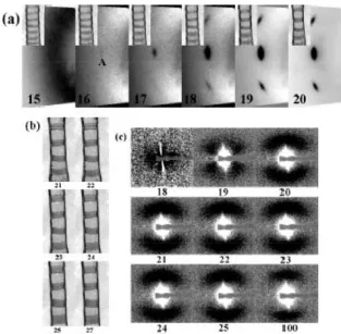 Fig. 4: (a) The WAXS patterns show the formation of Bragg peaks at the onset of crystallization                    onward, (b) the video images show the drawing at the weaker part and (c) the SAXS                    pattern shows the formation of kidney-bean SAXS pattern of PLA 4032D sample drawn                    at 80oC with the draw rate of 0.093s-1 