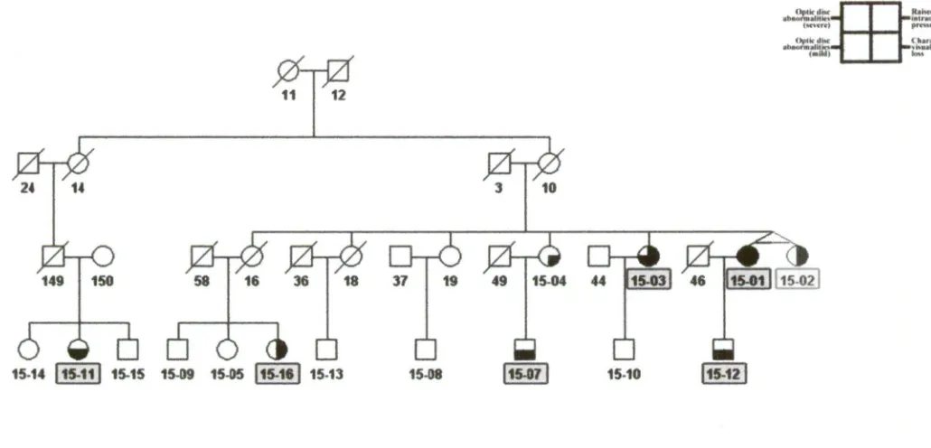 Figure 2.6 Family GTas15 