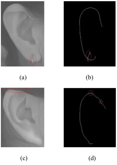 Fig. 16   
