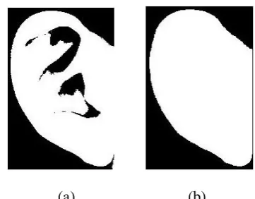 Fig. 7(a).  A landmark line is constructed using the two localized points as in Fig. 7(b)