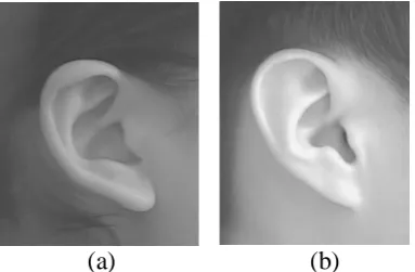 Fig. 8    (a) Detected ear outer edge image (b)       Enhanced outer contour 