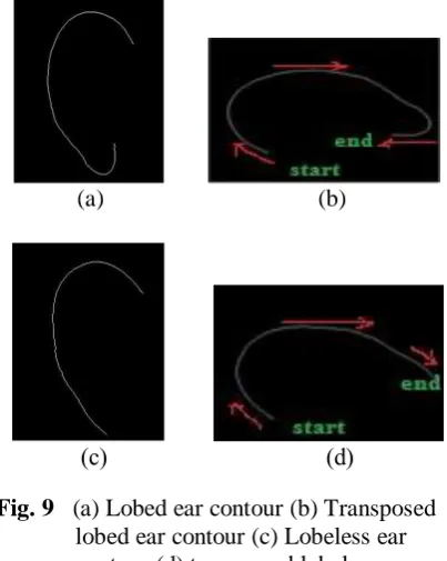 Fig. 9  