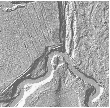 Figure 4.2 LIDAR Hillshade image of 38LX30/319.  The wide linear features oriented slightly NW-SE are remnants of 1974 motor grading scrapes